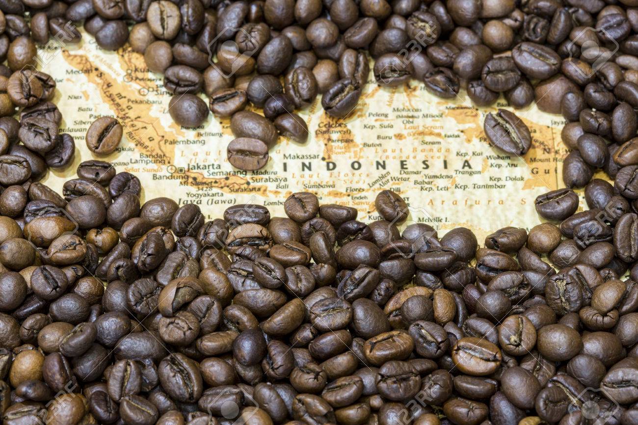 coffee bean exporters