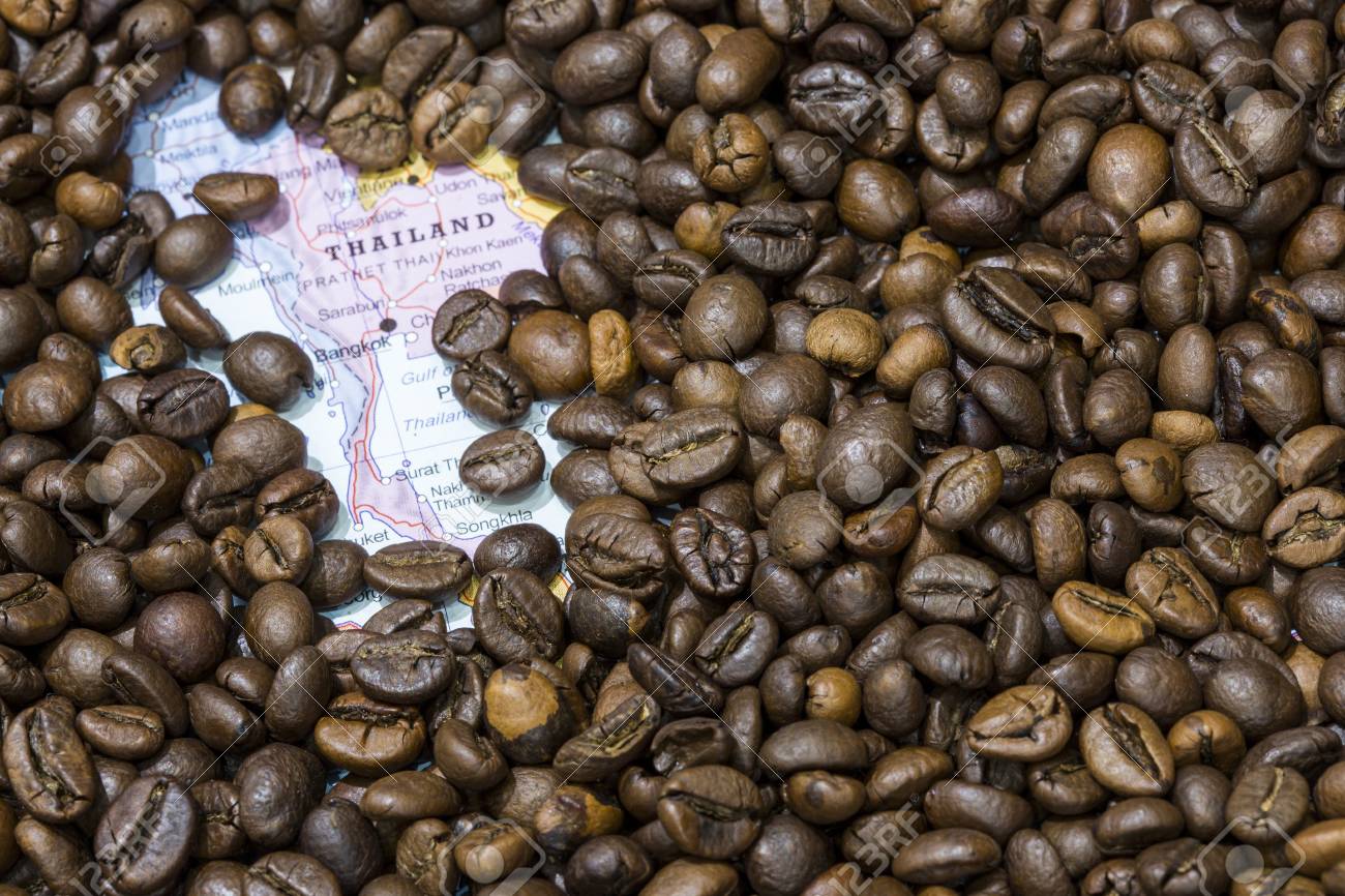 coffee bean exporters