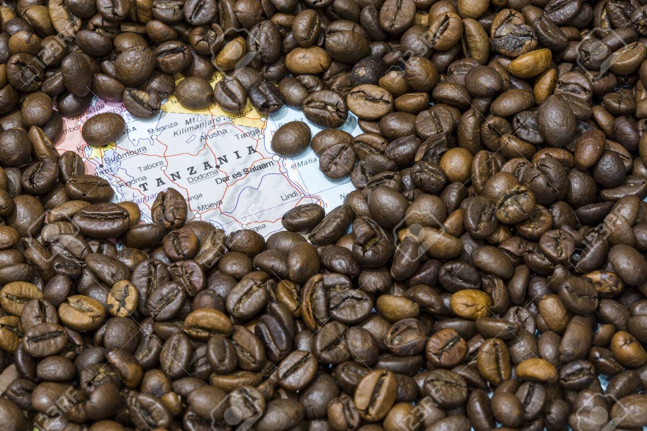 coffee bean exporters