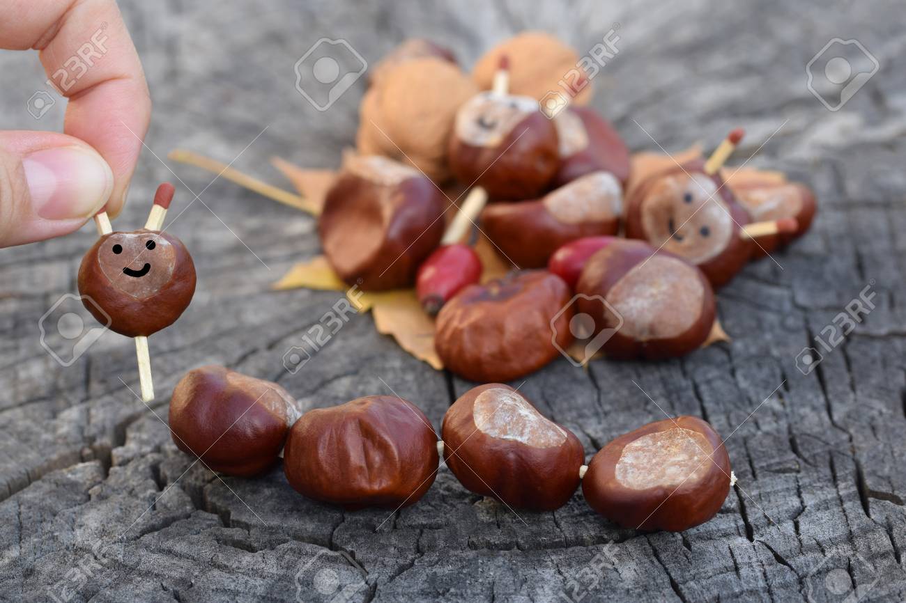 手作り動物栗の置物 の写真素材 画像素材 Image 手作り動物栗の置物 の写真素材 画像素材 Image