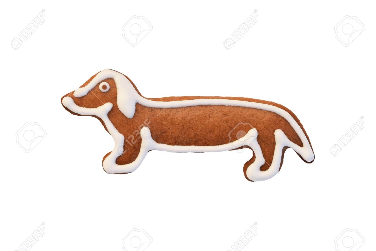gingerbread and dogs
