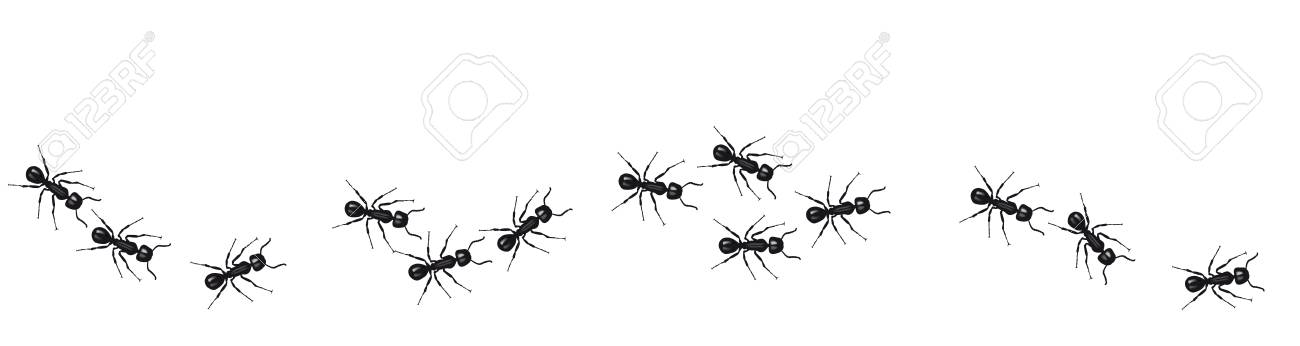 食べ物を求めて行進する労働者アリの列 ベクトルバナー のイラスト素材 ベクタ Image