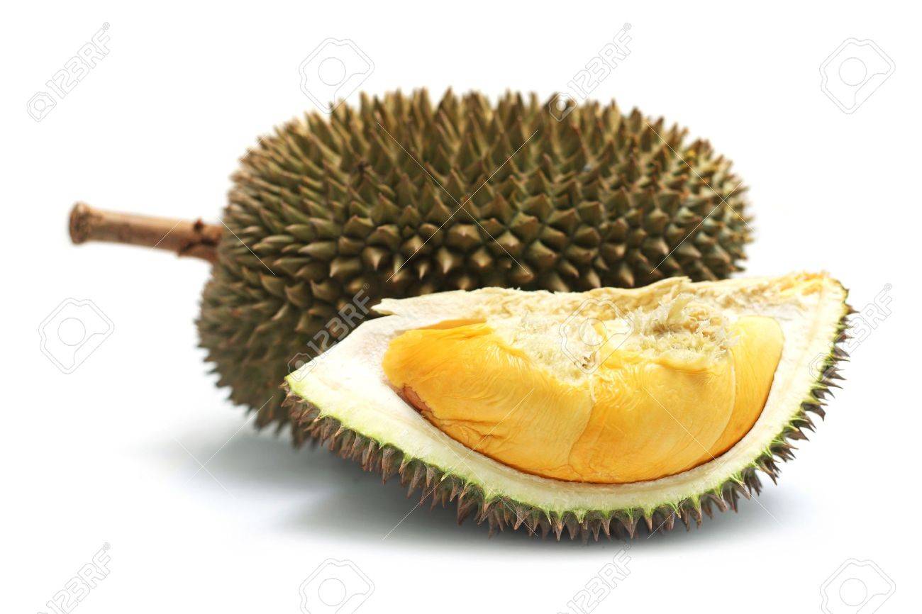 Close up of peeled durian isolated on white background. - 7467316 Close up of peeled durian isolated on white background. - 7467316