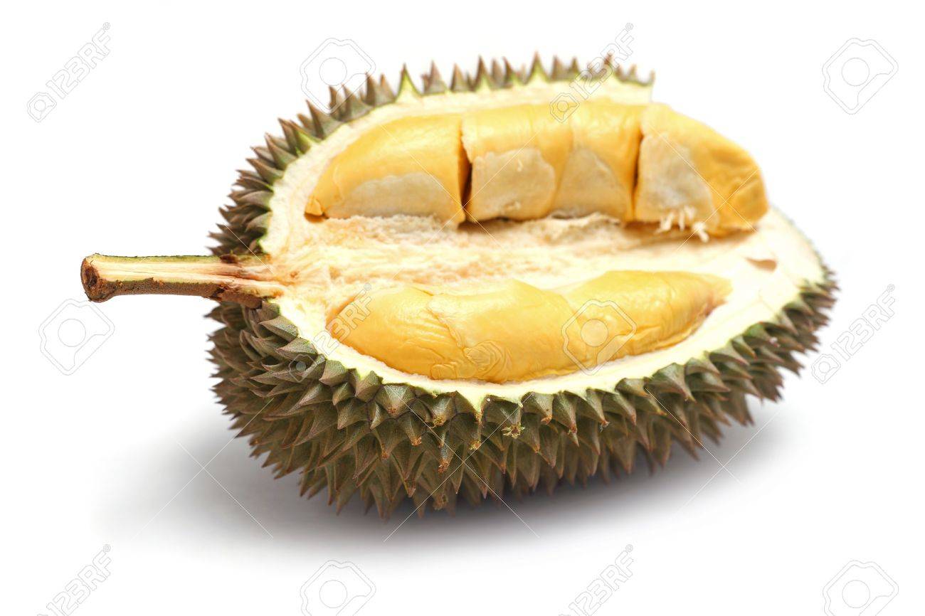 Close up of peeled durian isolated on white background. - 7467314 Close up of peeled durian isolated on white background. - 7467314