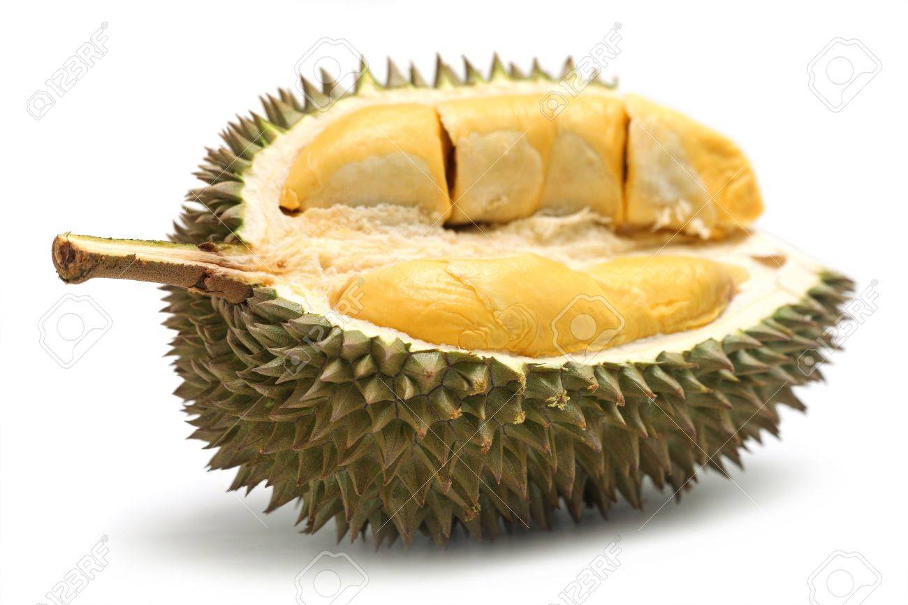 Close up of peeled durian isolated on white background. - 7500794 Close up of peeled durian isolated on white background. - 7500794