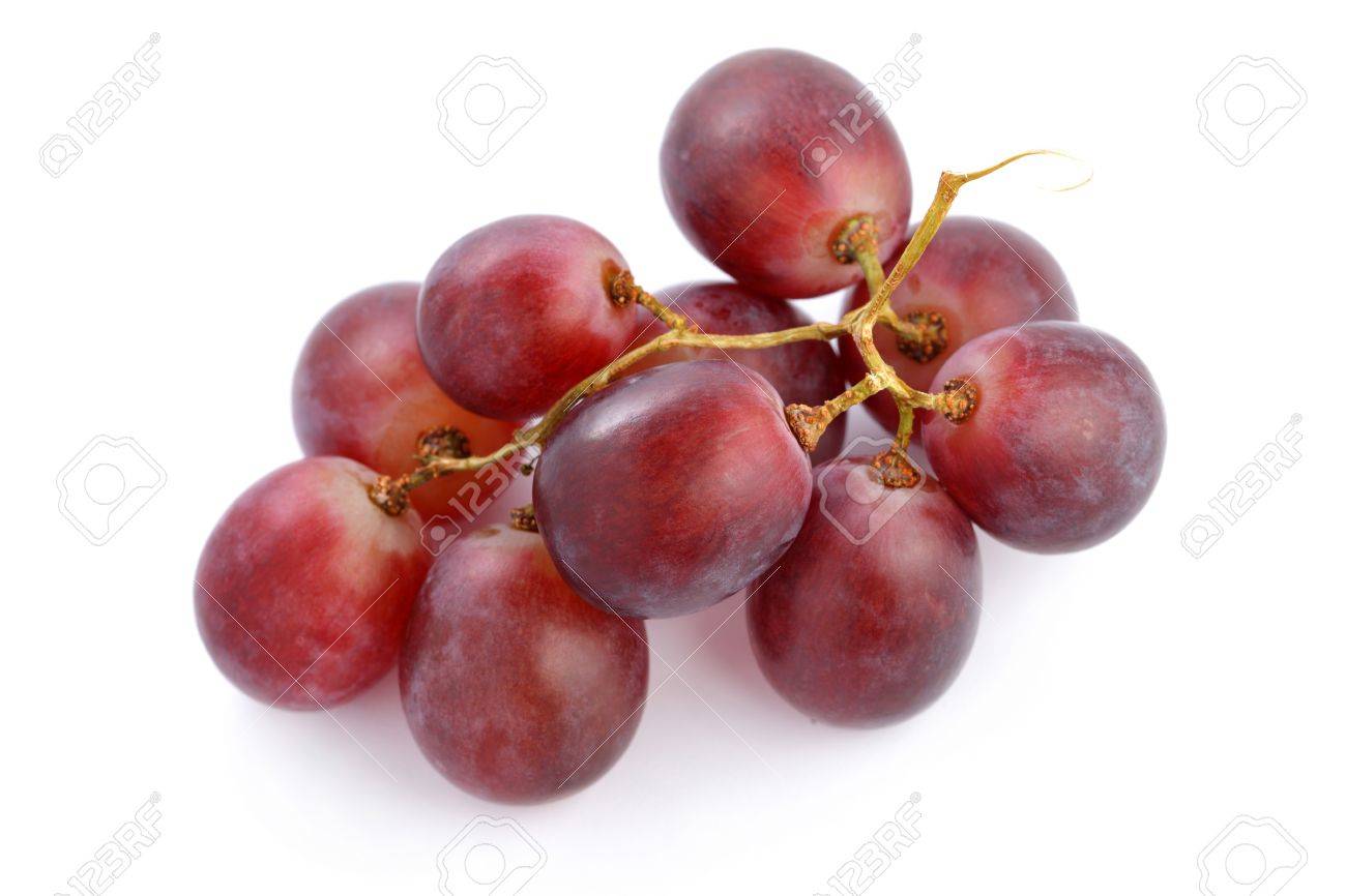 A string of grapes isolated on white background. - 9865082 A string of grapes isolated on white background. - 9865082