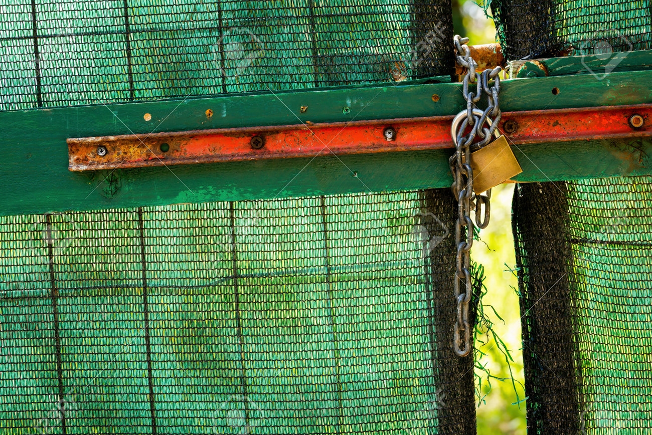 etiam-dictum-ipsum-a-felis