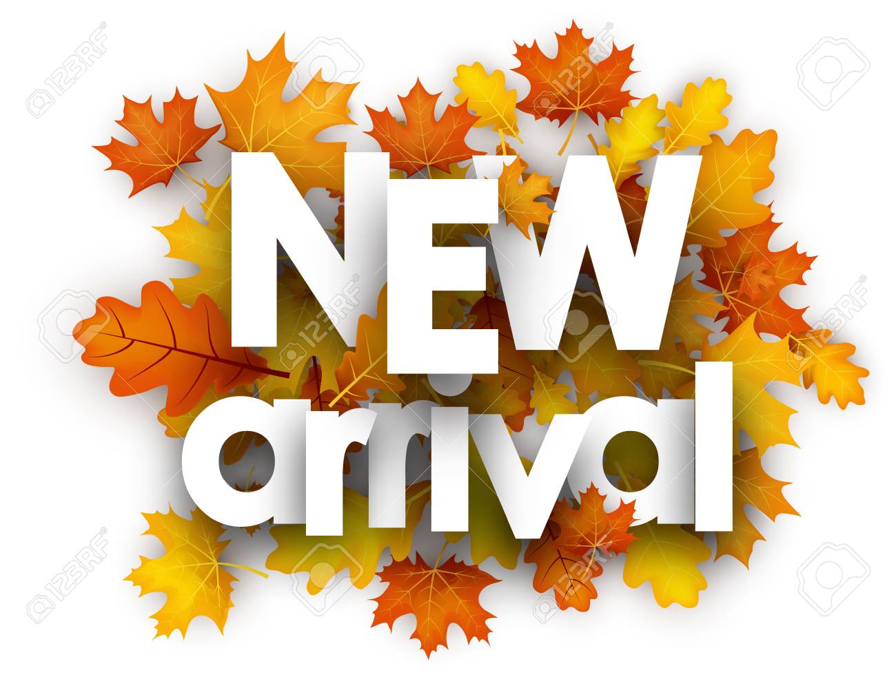 New arrival autumn card with golden maple and oak leaves. Vector illustration. - 84990991 New arrival autumn card with golden maple and oak leaves. Vector illustration. - 84990991