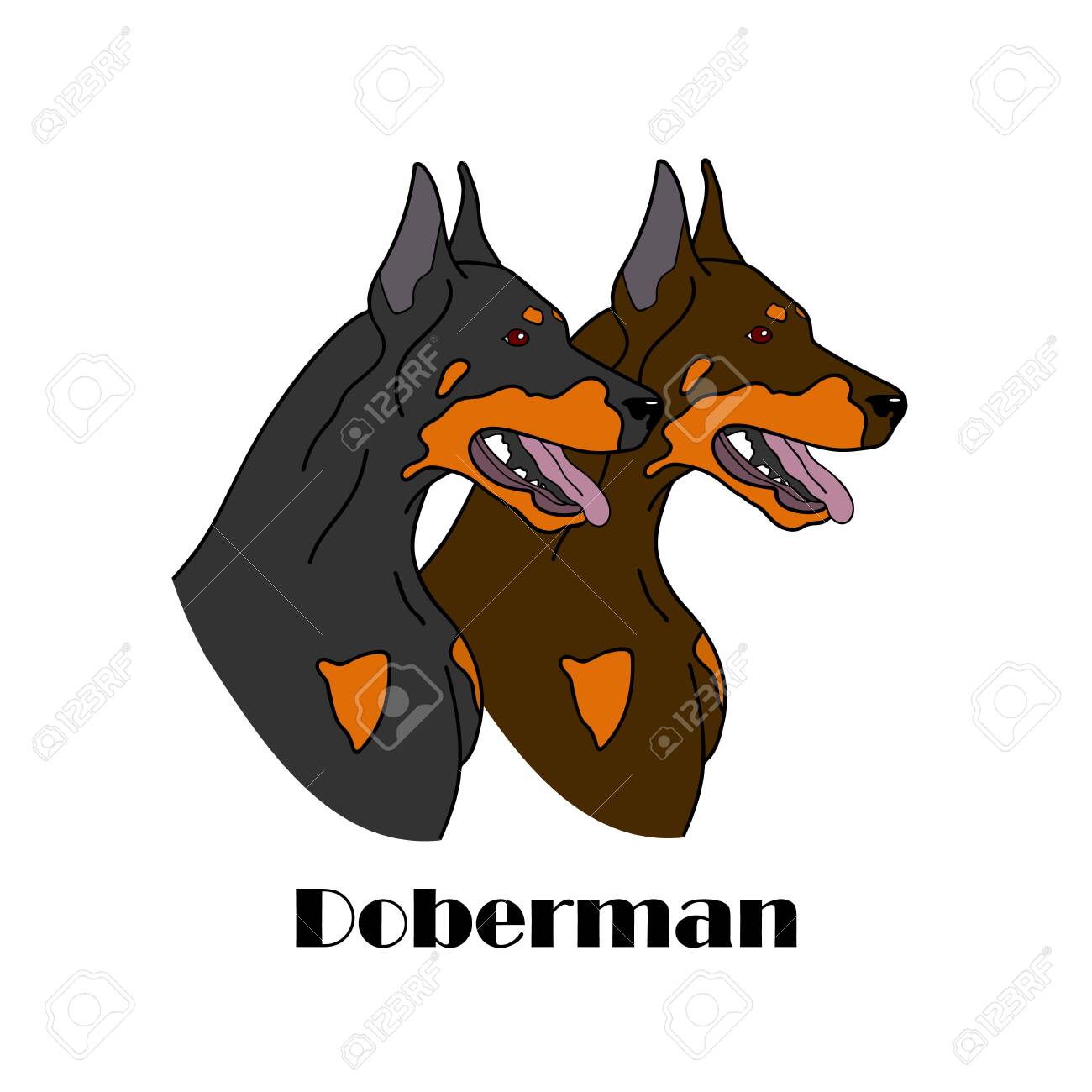 best dog crates for dobermans