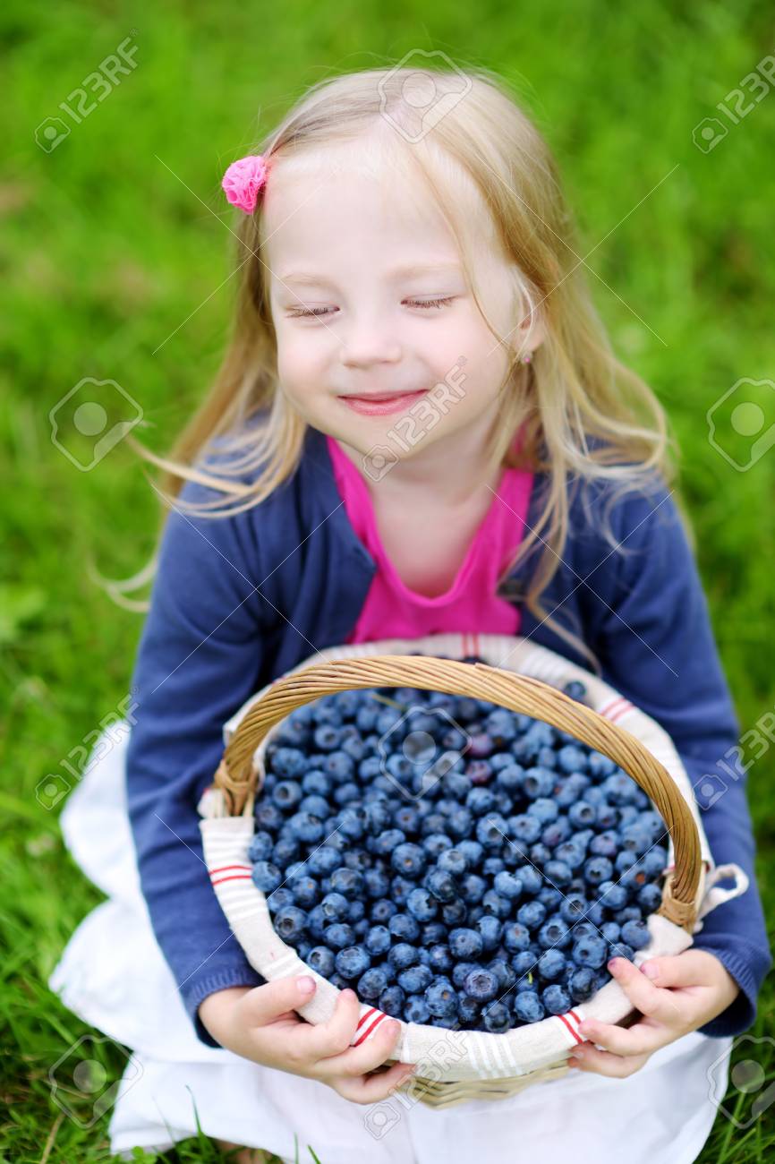 かわいい女の子選ぶ新鮮な果実有機ブルーベリー農園に暖かく 日当たりの良い夏の日 の写真素材 画像素材 Image