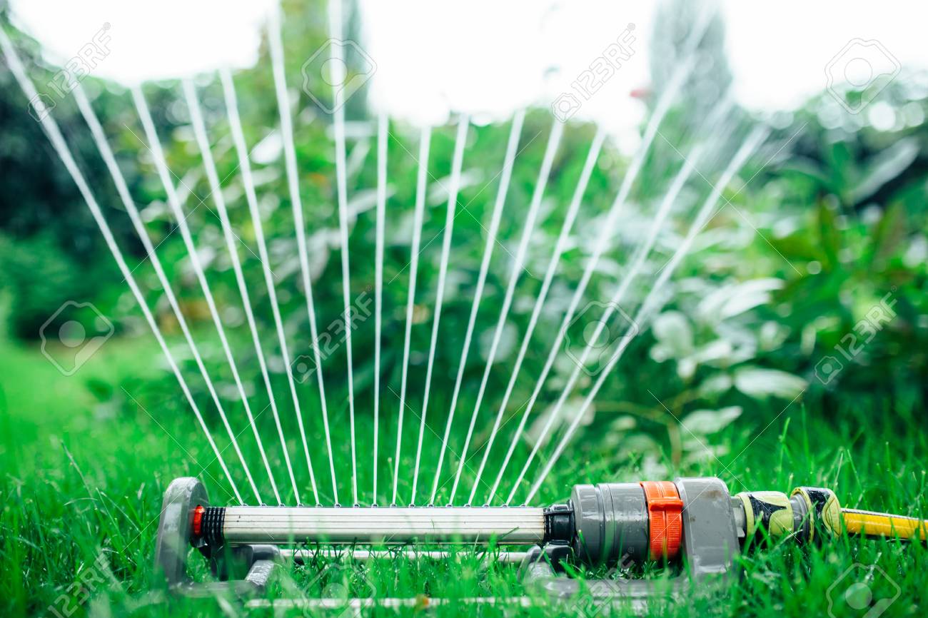 庭の水やりをスプリンクラー 写真をクローズ アップ の写真素材 画像素材 Image