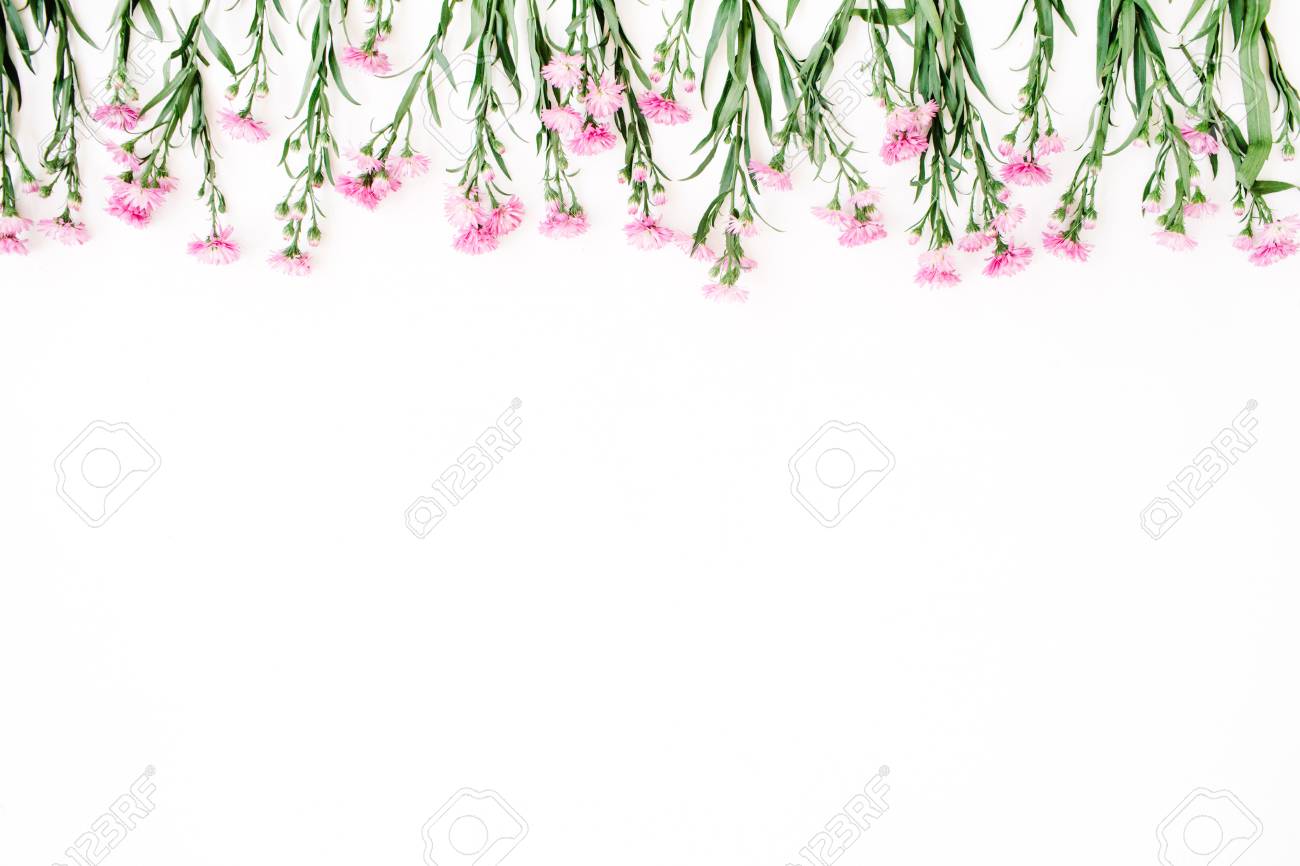 白地にピンクの野の花 フラット横たわっていた トップ ビュー ブログのヒーローまたはヘッダー の写真素材 画像素材 Image 白地にピンクの野の花 フラット横たわっていた トップ ビュー ブログのヒーローまたはヘッダー の写真素材 画像素材 Image