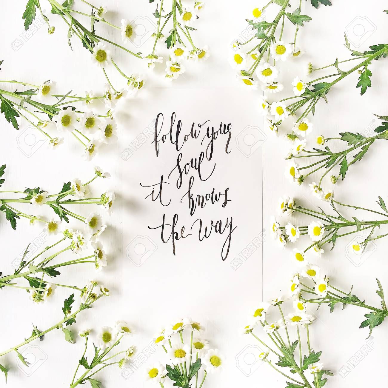 Quote Follow Your Soul It Knows The Way Written In Calligraphic Style On Paper With Chamomile On White Flat Lay Top View Stock Photo Picture And Royalty Free Image Image