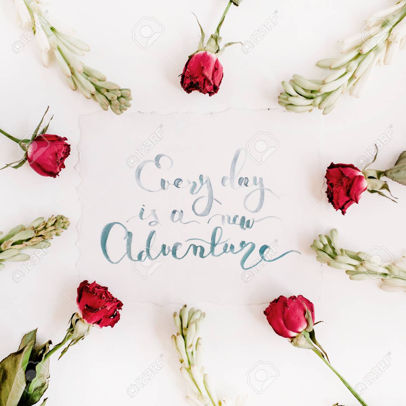 Citation Inspirante Tous Les Jours Est Une Nouvelle Aventure Ecrit En Style Calligraphique Sur Papier Avec Cadre De Roses Rouges Sur Fond Blanc Plat Poser Vue De Dessus Banque D Images Et Photos
