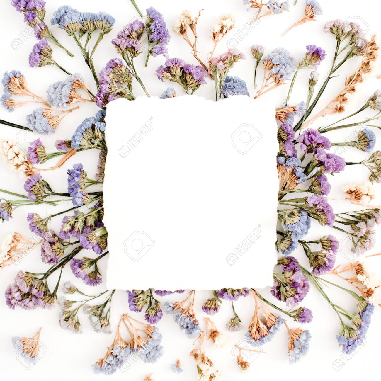 Empty White Paper Blank On Blue And Purple Dried Flowers Frame Stock Photo Picture And Royalty Free Image Image 77189064