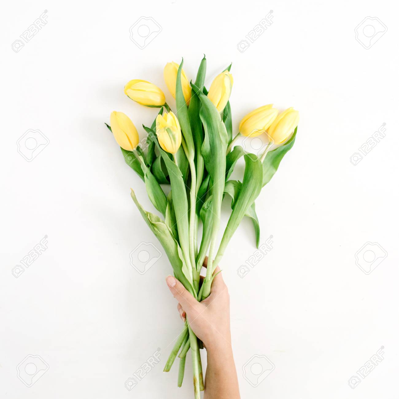 女性の手が白い背景に美しい黄色いチューリップの花束の花を保持します フラット横たわっていた トップ ビュー の写真素材 画像素材 Image