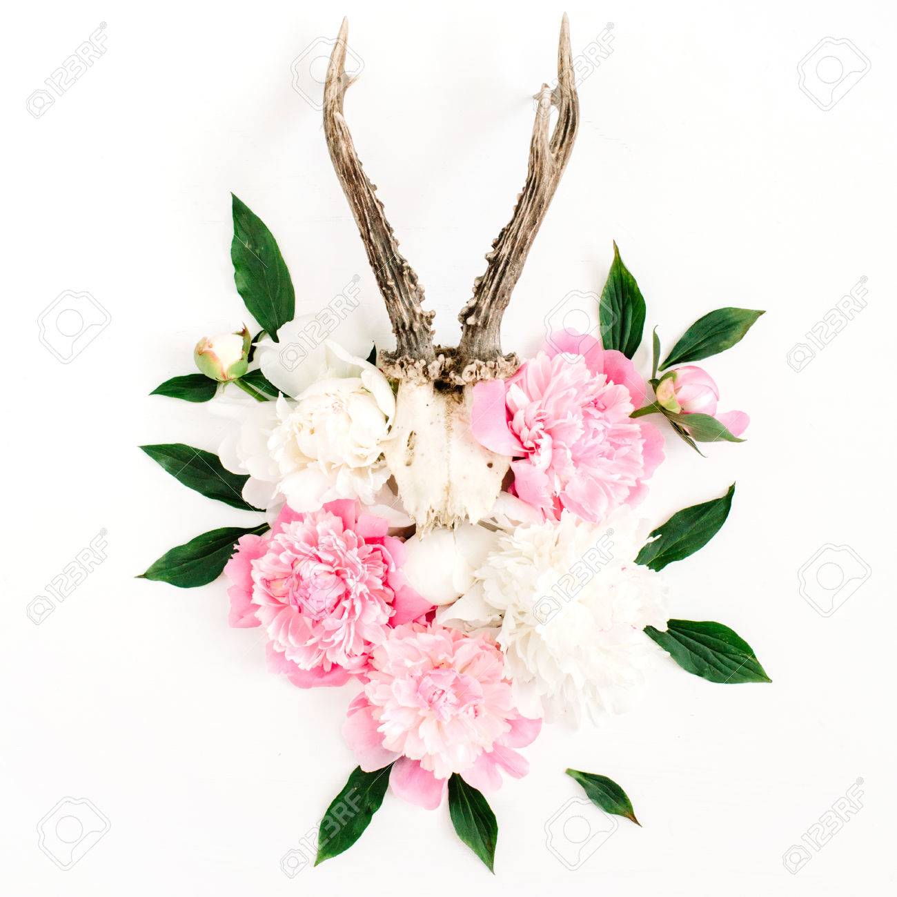 Beau Bouquet De Fleurs De Pivoine Rose Et Blanc Et Cornes De Chèvre Sur Fond Blanc Plat Poser Fond De Hipster élégant Moderne Vue De Dessus