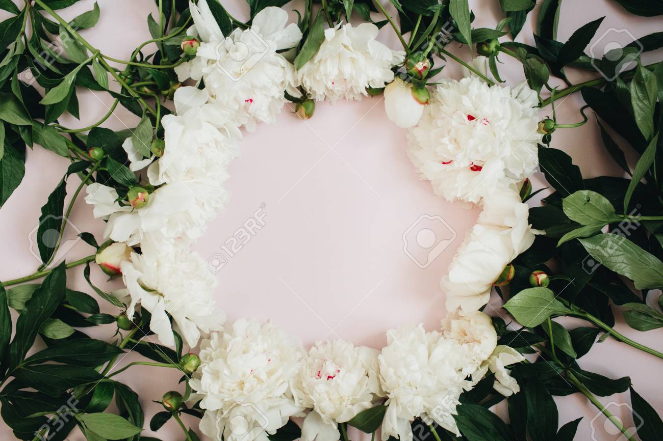 白い牡丹の花 枝 葉やピンクの背景のテキストのためのスペースと花びらのフレーム花輪 フラットレイ トップビュー 牡丹の花の質感 の写真素材 画像素材 Image