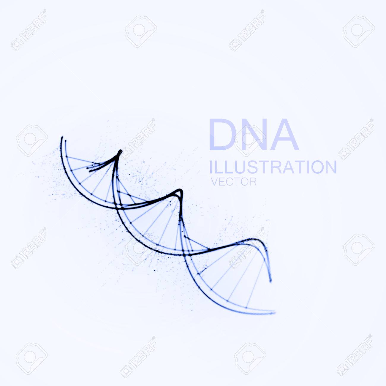 Dna 鎖 Dna の繊維や粒子のベクトル イラスト 芸術的なインク模造のベクター イラストです 科学や医療の概念のイラスト素材 ベクタ Image