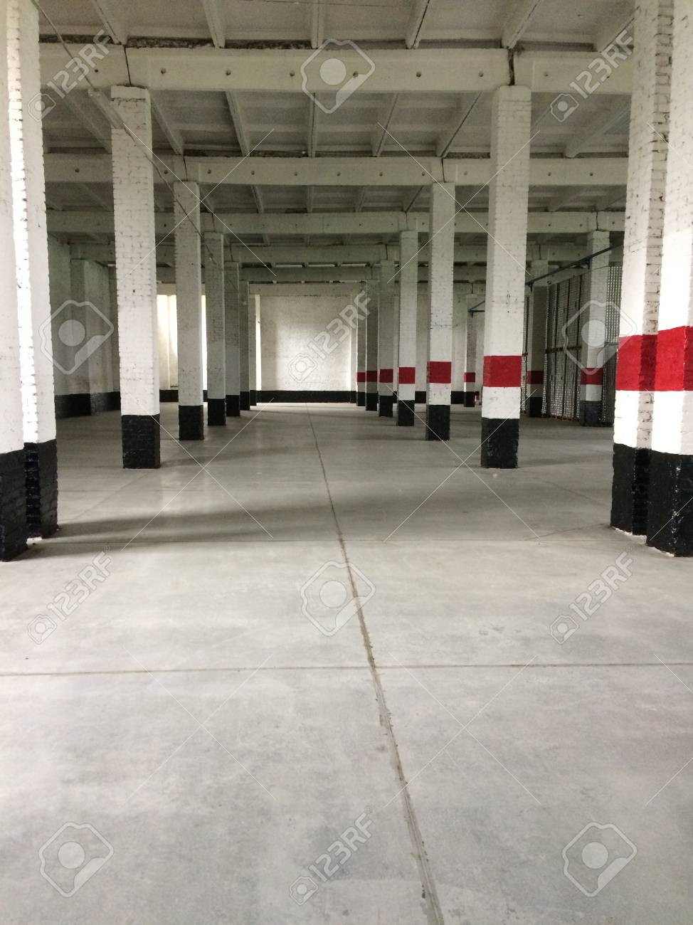 etiam-dictum-ipsum-a-felis