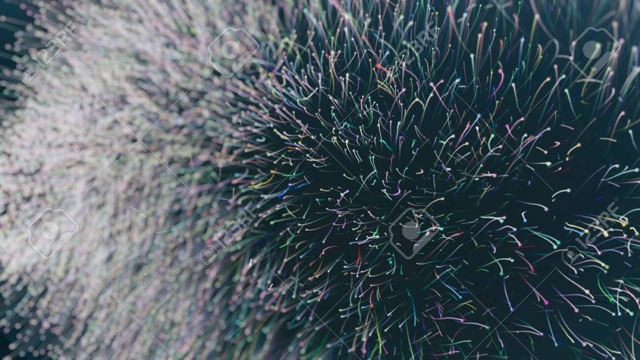 etiam-dictum-ipsum-a-felis