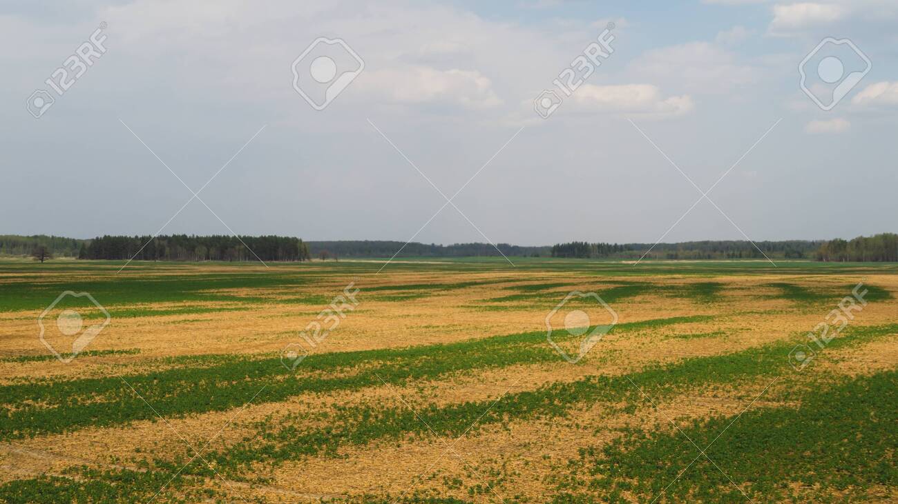 Wide Field And The Sky Nature Landscape Background Horizon Line Stock Photo Picture And Royalty Free Image Image 131418551