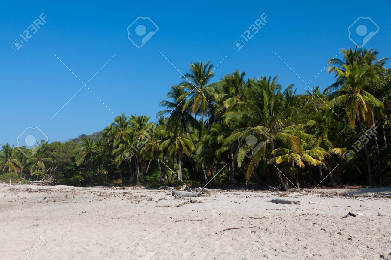 Plage Naturelle Sauvage à Santa Teresa Costa Rica Côte Pacifique