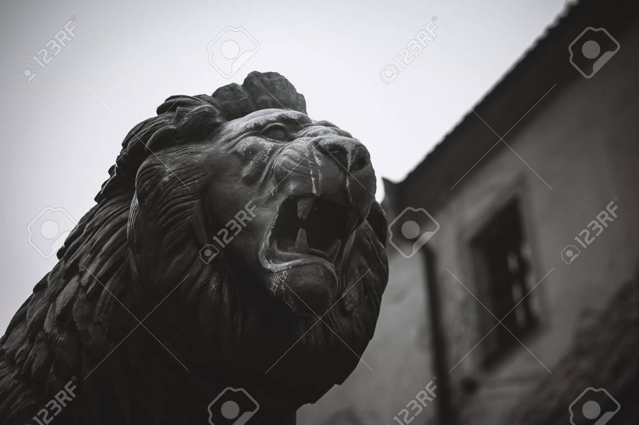 etiam-dictum-ipsum-a-felis