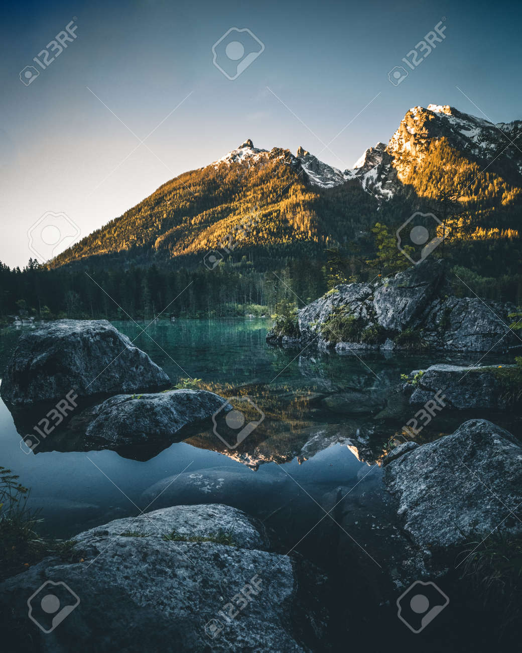 etiam-dictum-ipsum-a-felis