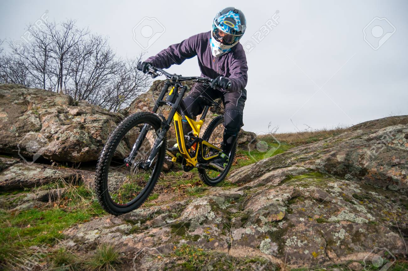 professional mountain bike