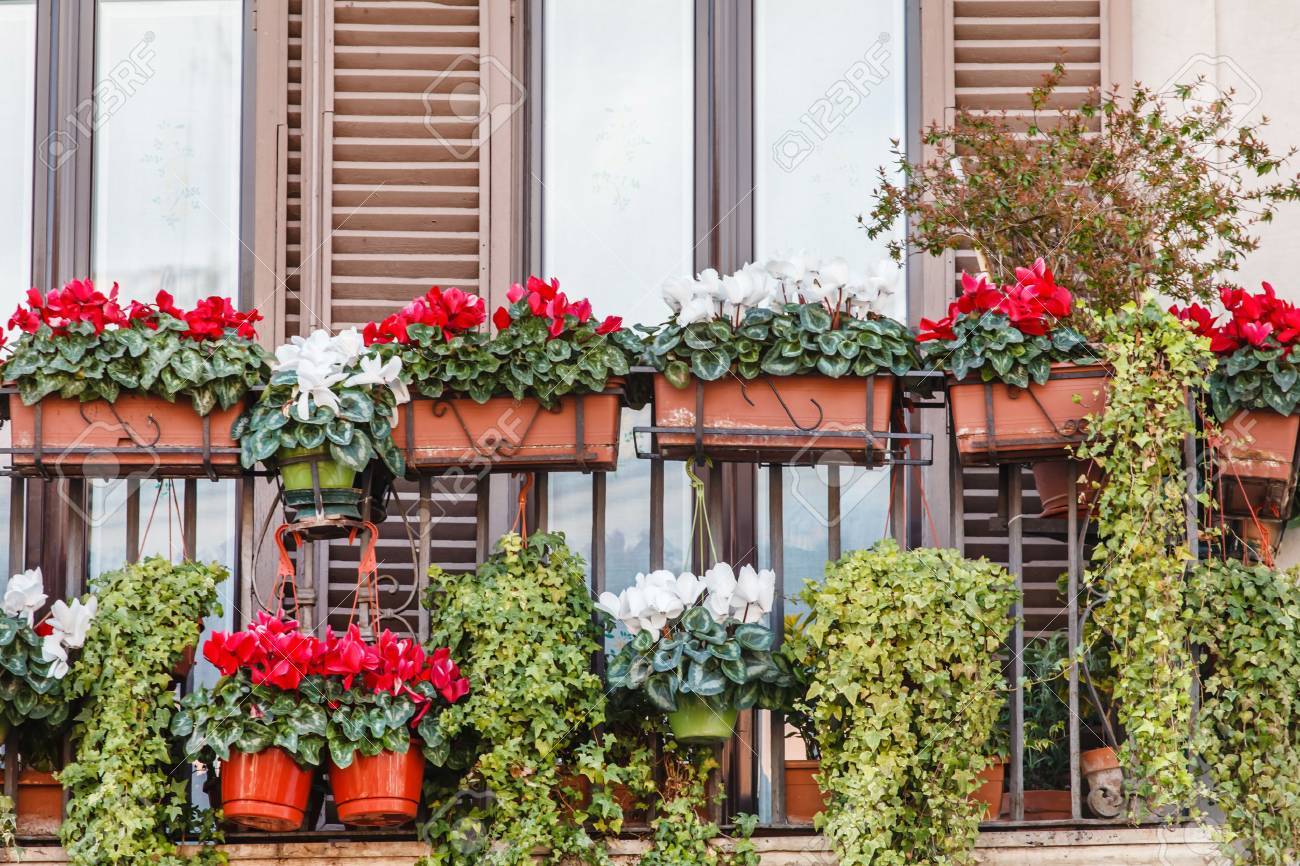 flowers on the balcony stock photo picture and royalty free image