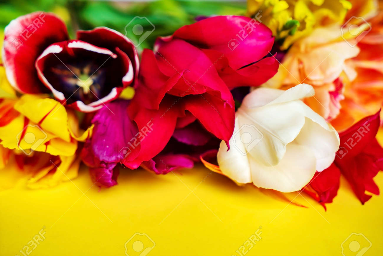 etiam-dictum-ipsum-a-felis