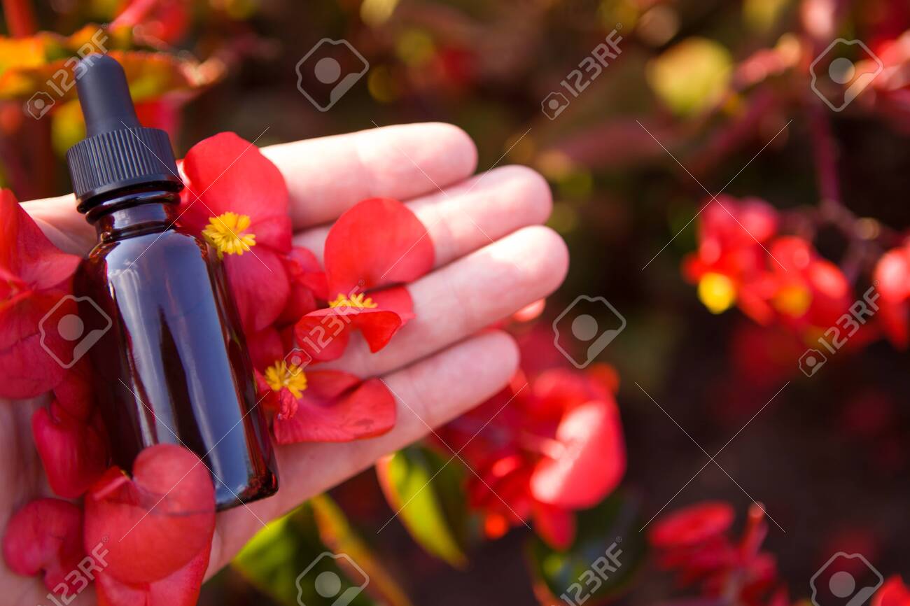 Download Medical Glass Essential Oil Bottle With Flowers Dropper Bottle Stock Photo Picture And Royalty Free Image Image 155437552