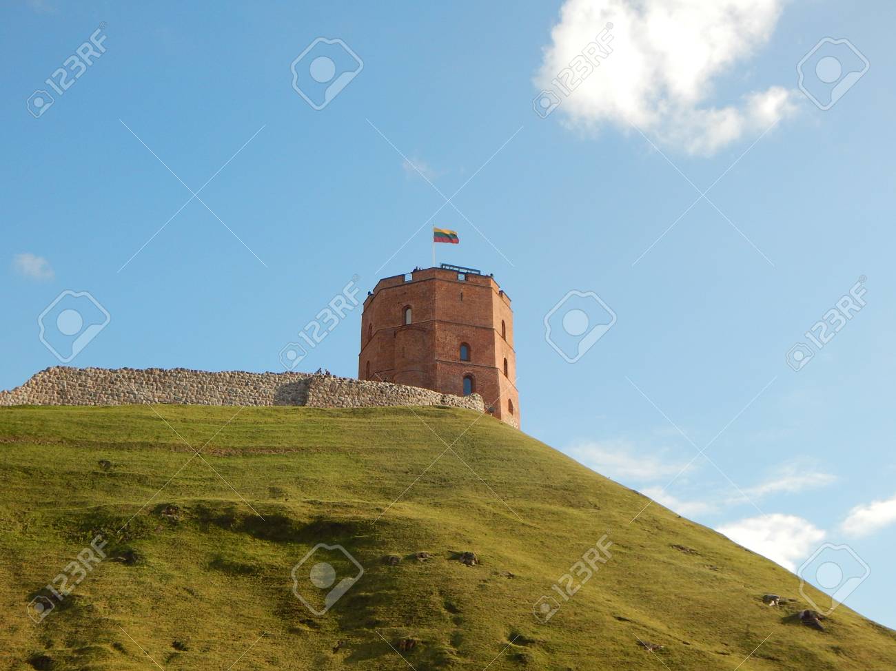 etiam-dictum-ipsum-a-felis