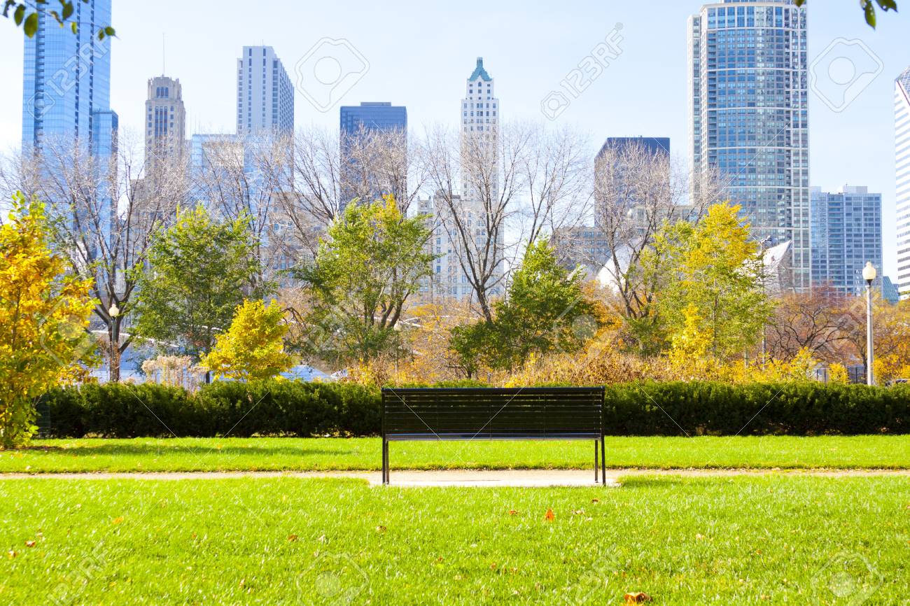 City Park Background