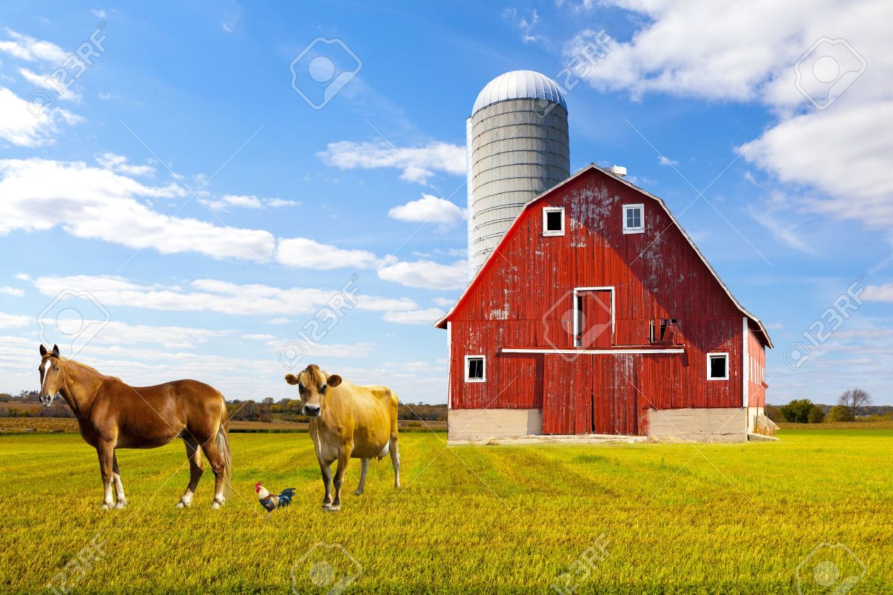 Farm Barn american countryside red farm with blue sky stock photo, picture Farm Barn american countryside red farm with blue sky stock photo, picture