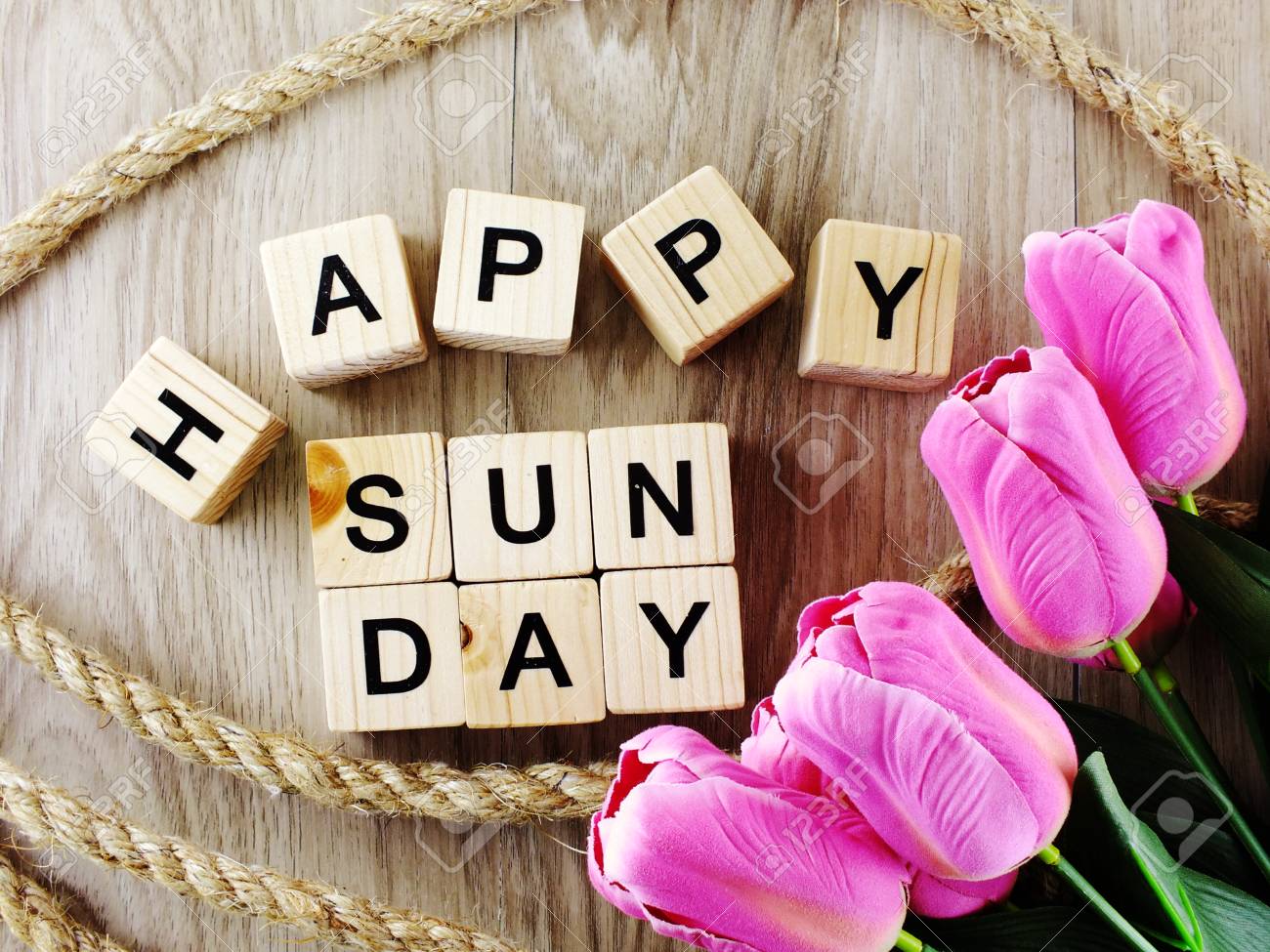 ハッピーサンデー