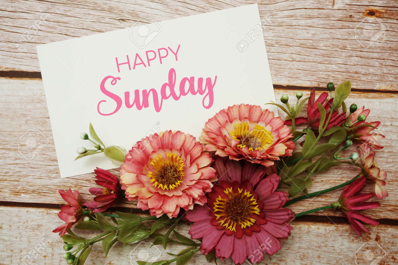 ハッピーサンデー ハッピーサンデー