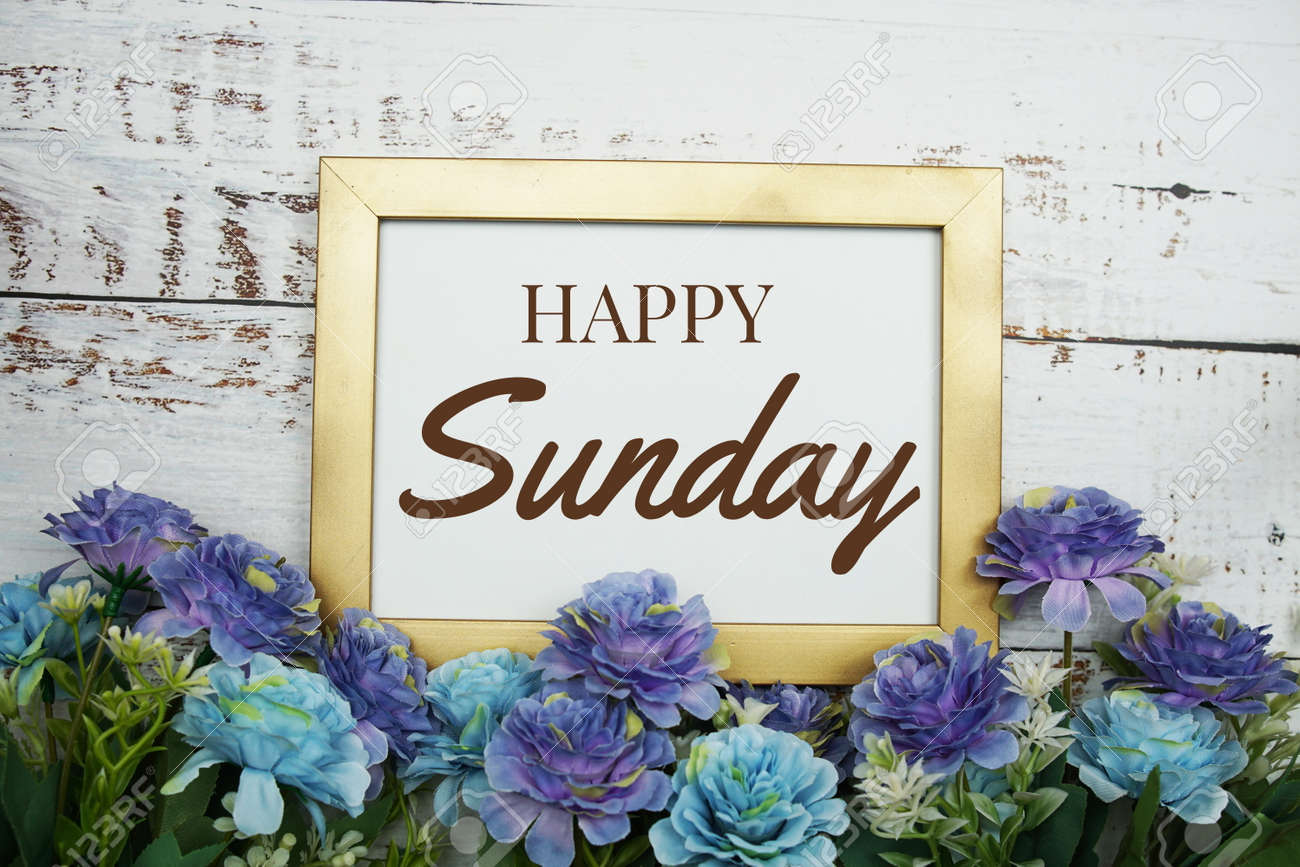 ハッピーサンデー ハッピーサンデー 【公式通販】