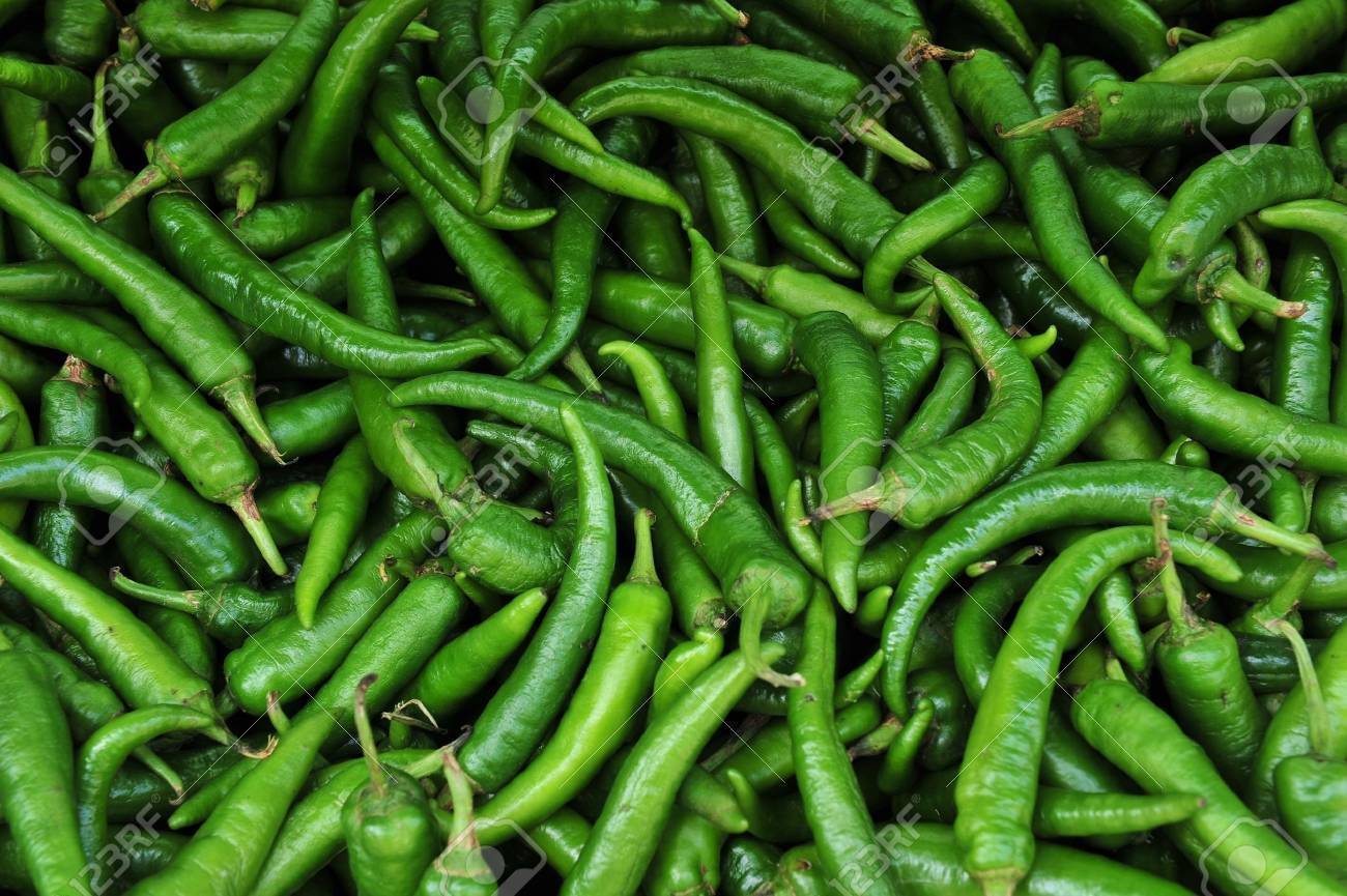 多くの辛い青唐辛子 の写真素材 画像素材 Image