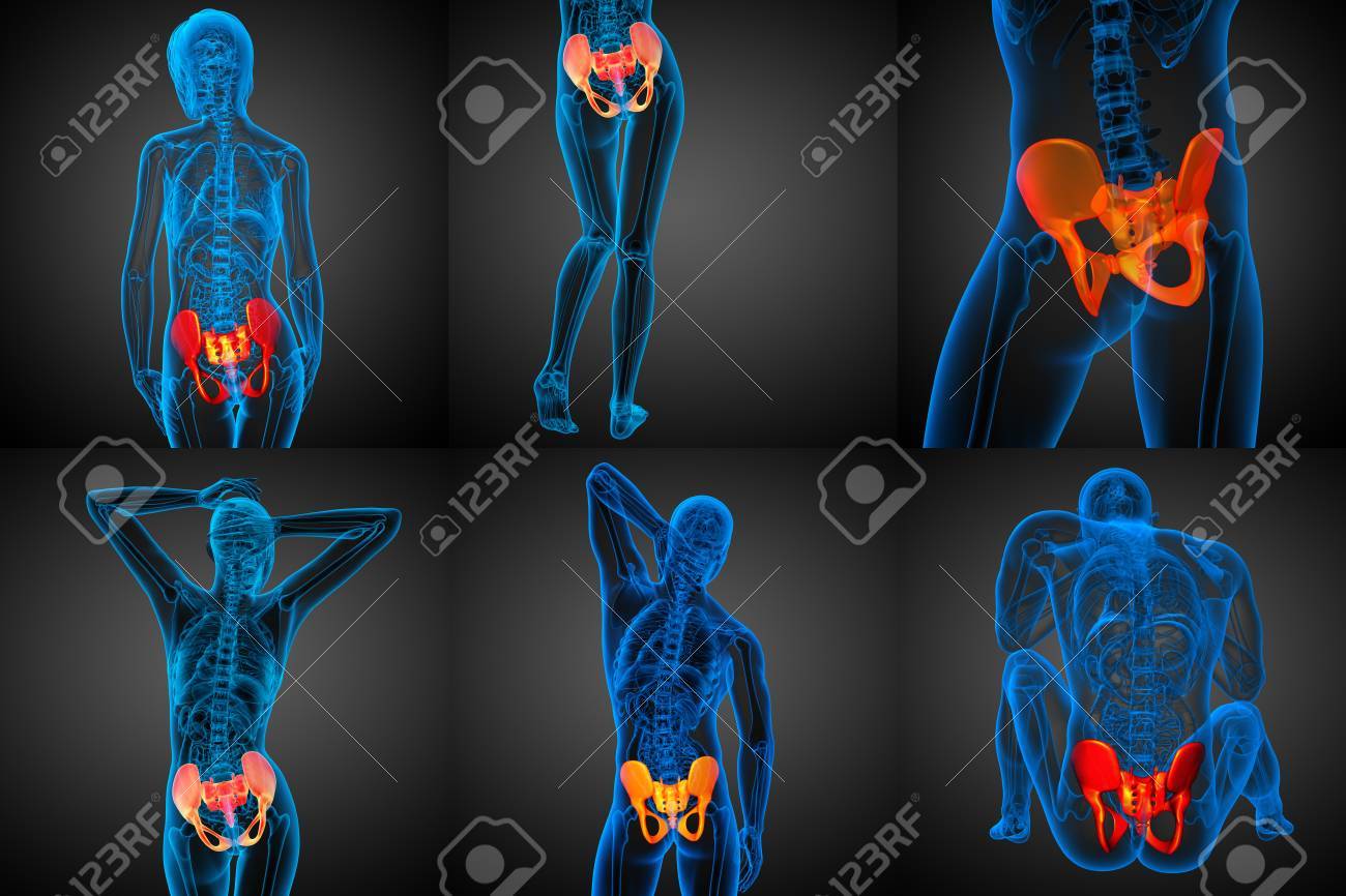 3 D レンダリング骨盤骨の医療イラスト の写真素材 画像素材 Image