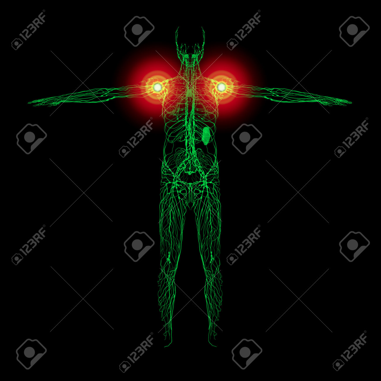 etiam-dictum-ipsum-a-felis