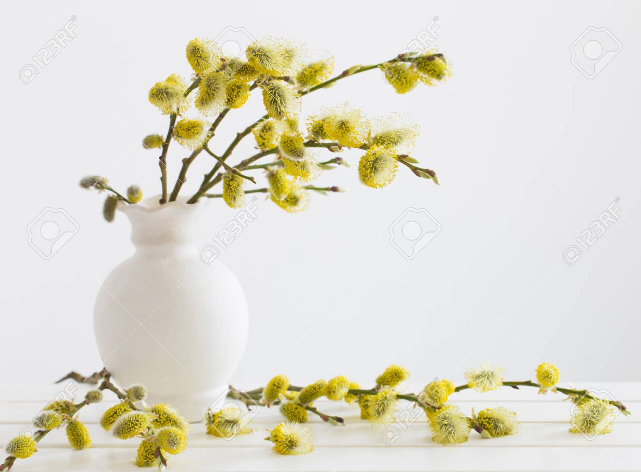 Branches Of The Pussy Willow With Flowering Bud In Vase With