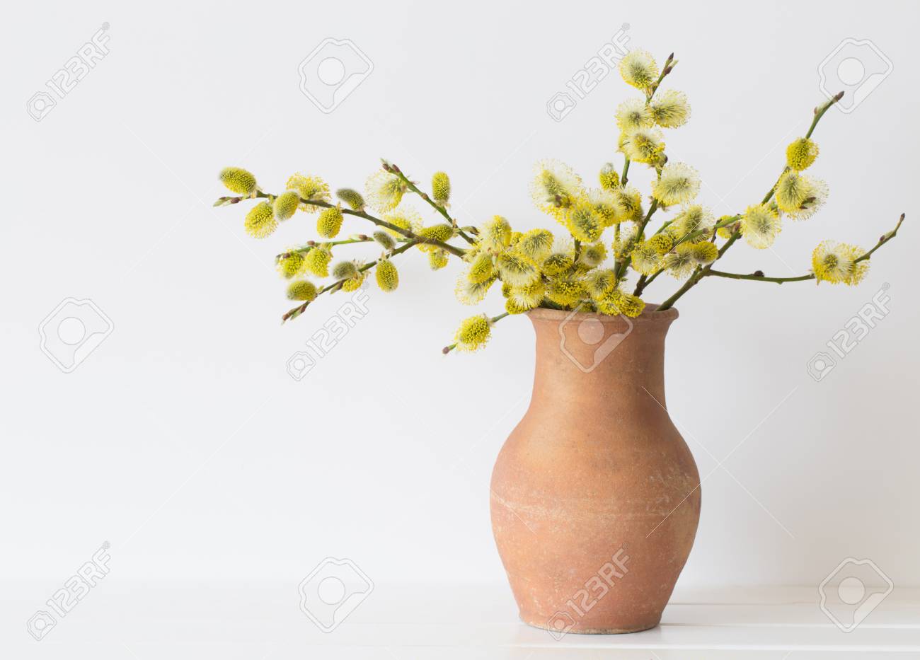 Branches Of The Pussy Willow With Flowering Bud In Vase With