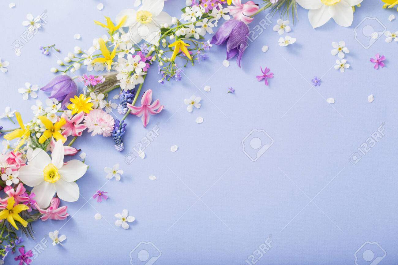 Spring background Stock Photos, Royalty Free Spring background Images