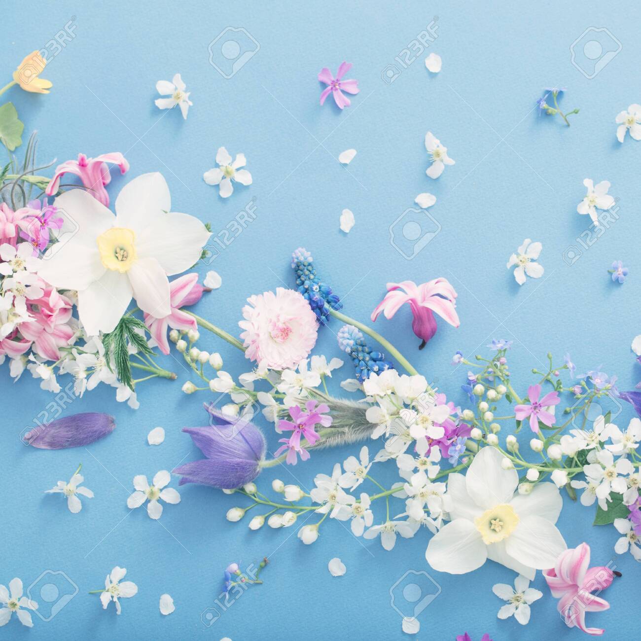 Spring Background Stock Photos and Images - 123RF