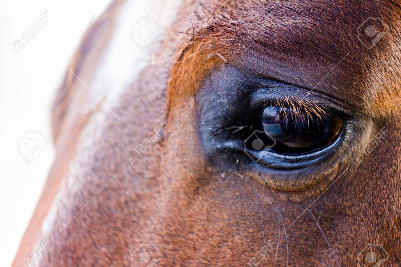 Get Trauriges auge Free