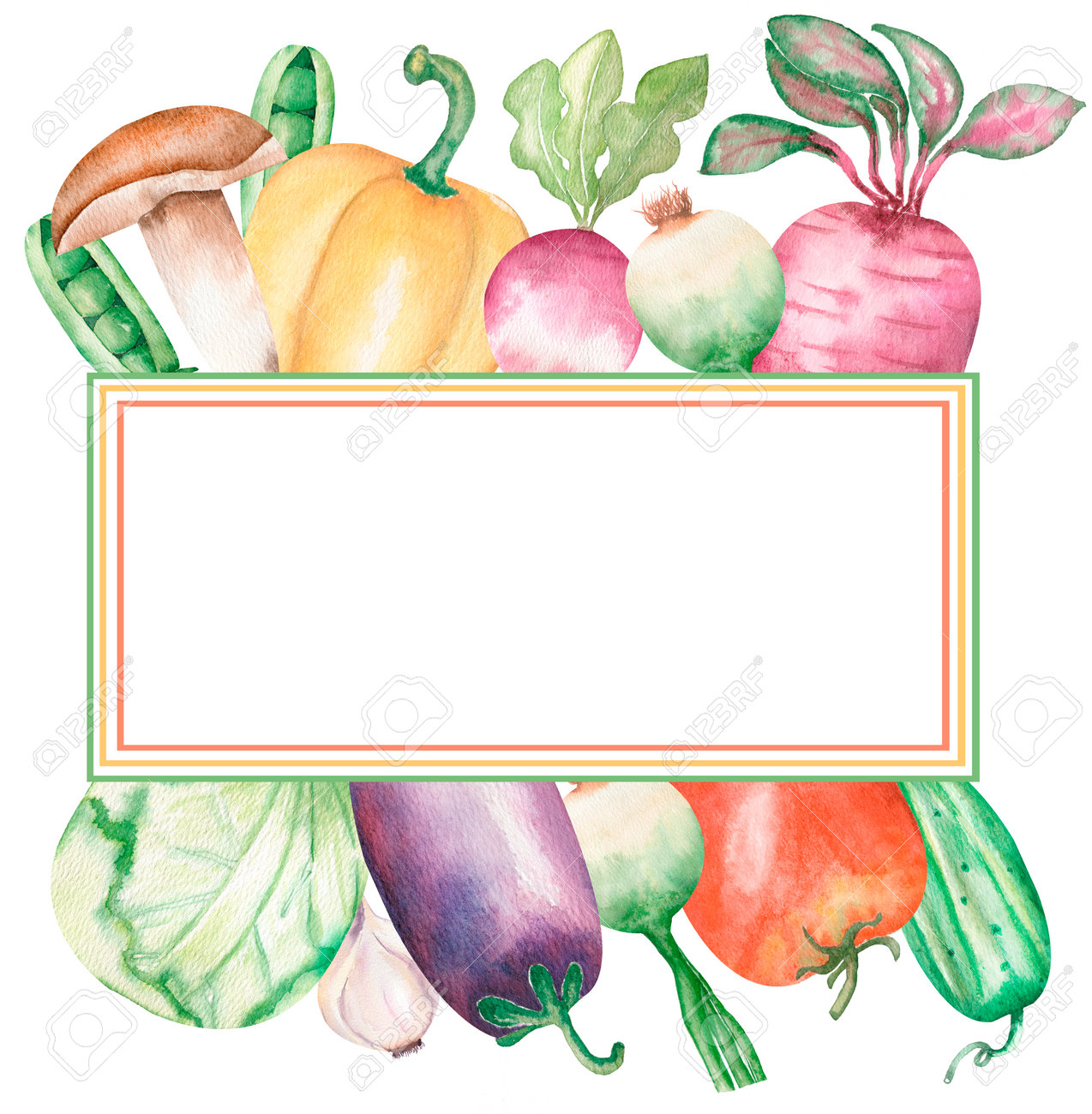 Watercolor Vegetable Frame Clipart, Kitchen Healthy Food Border  Illustration, Kitchen Culinary Clipart, Garden Plants, Logo Design Stock  Photo, Picture and Royalty Free Image. Image 197958082., image size:1274x1300