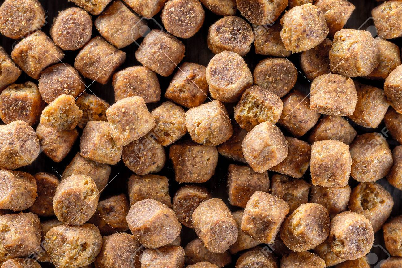 macro image of dog dry food pellets background stock photo picture