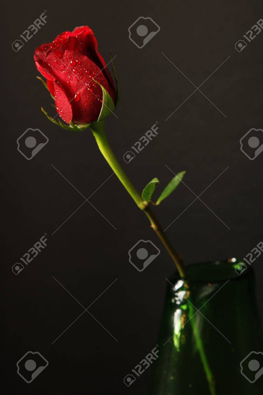 A Single Stemmed Red Rose In A Green Vase With A Black Background